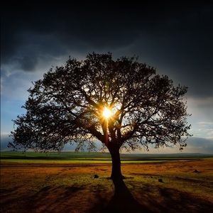 Meet your Posher, Jaimie