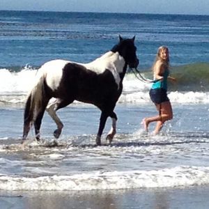 Meet your Posher, Rachel