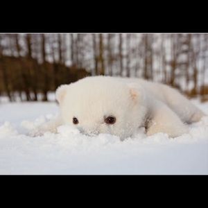 Meet your Posher, Noah