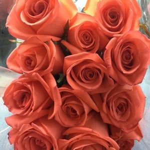 Meet your Posher, Jesica