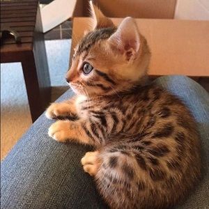 Meet your Posher, Brianna