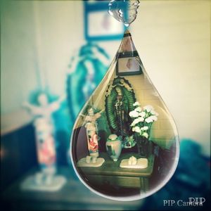 Meet your Posher, Maria