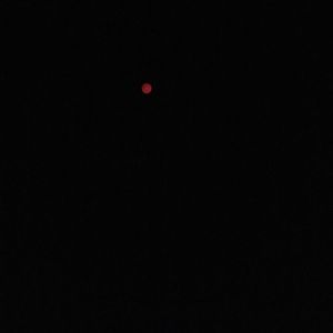 Meet your Posher, Marilyn