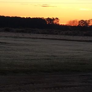 Meet your Posher, Teresita