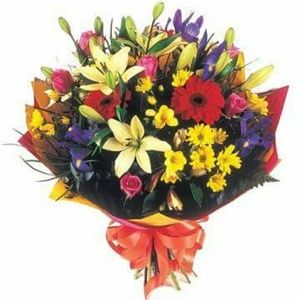 Meet your Posher, Penny