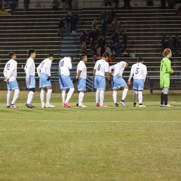 Meet your Posher, Cooper - Picture 1 of 1