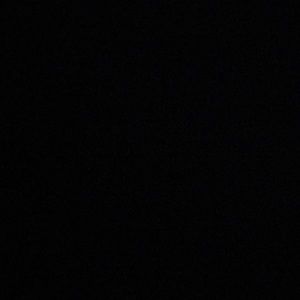 Meet your Posher, Reginald