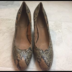 Corso Como Snakeskin Pumps - 12M