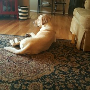 Meet your Posher, Julie