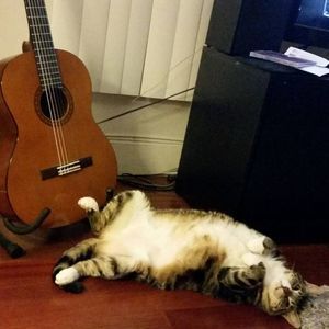 Meet your Posher, Jackie