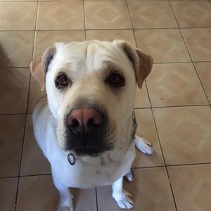 Meet your Posher, Bryan