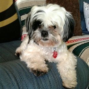 Meet your Posher, Marchie