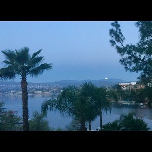 Meet your Posher, Judy