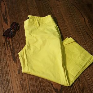 Express design Studio capri