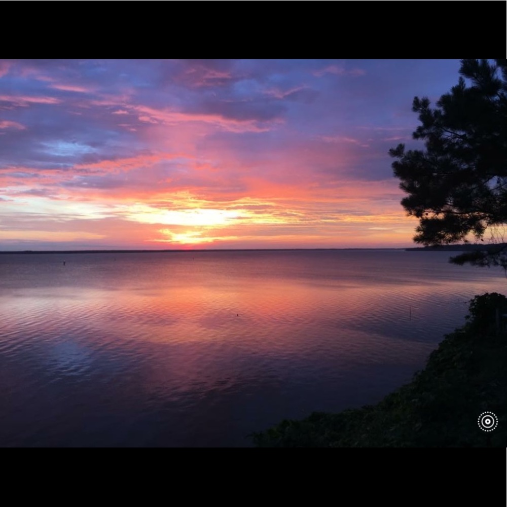 Meet your Posher, Bran