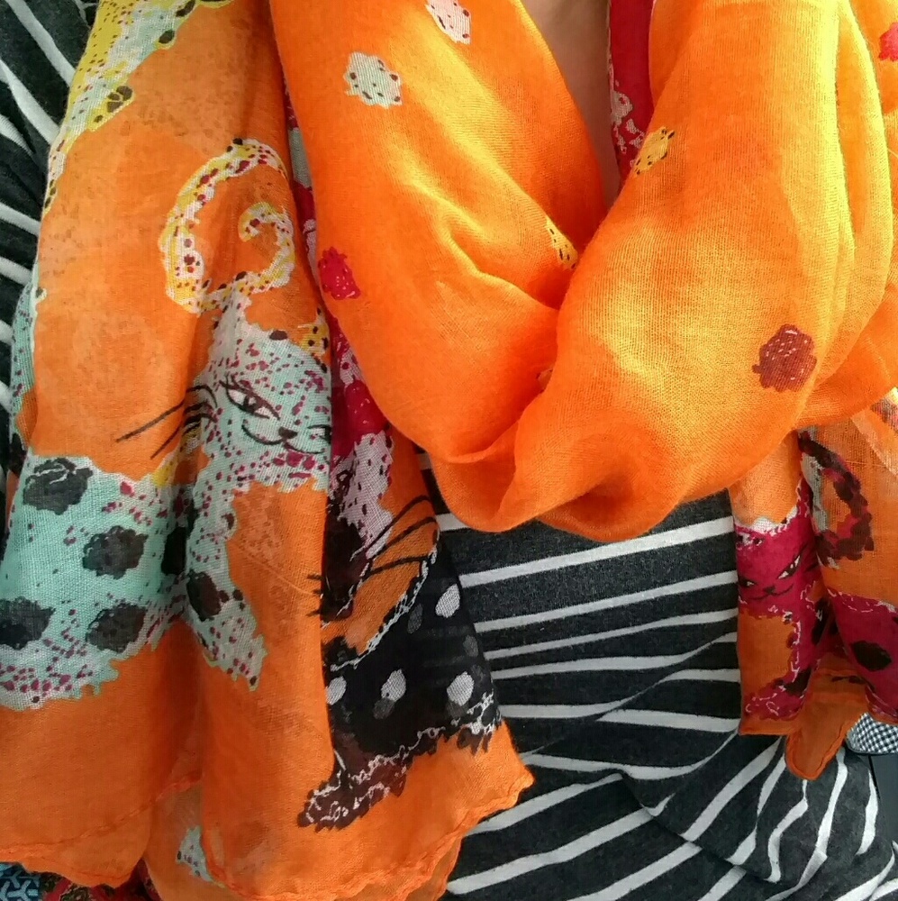 Cats!!! Cute Scarf!