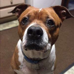 Meet your Posher, Erika