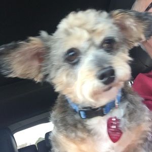 Meet your Posher, Connie