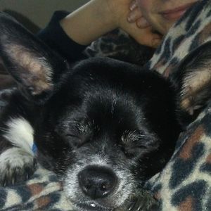 Meet your Posher, Amisha a.