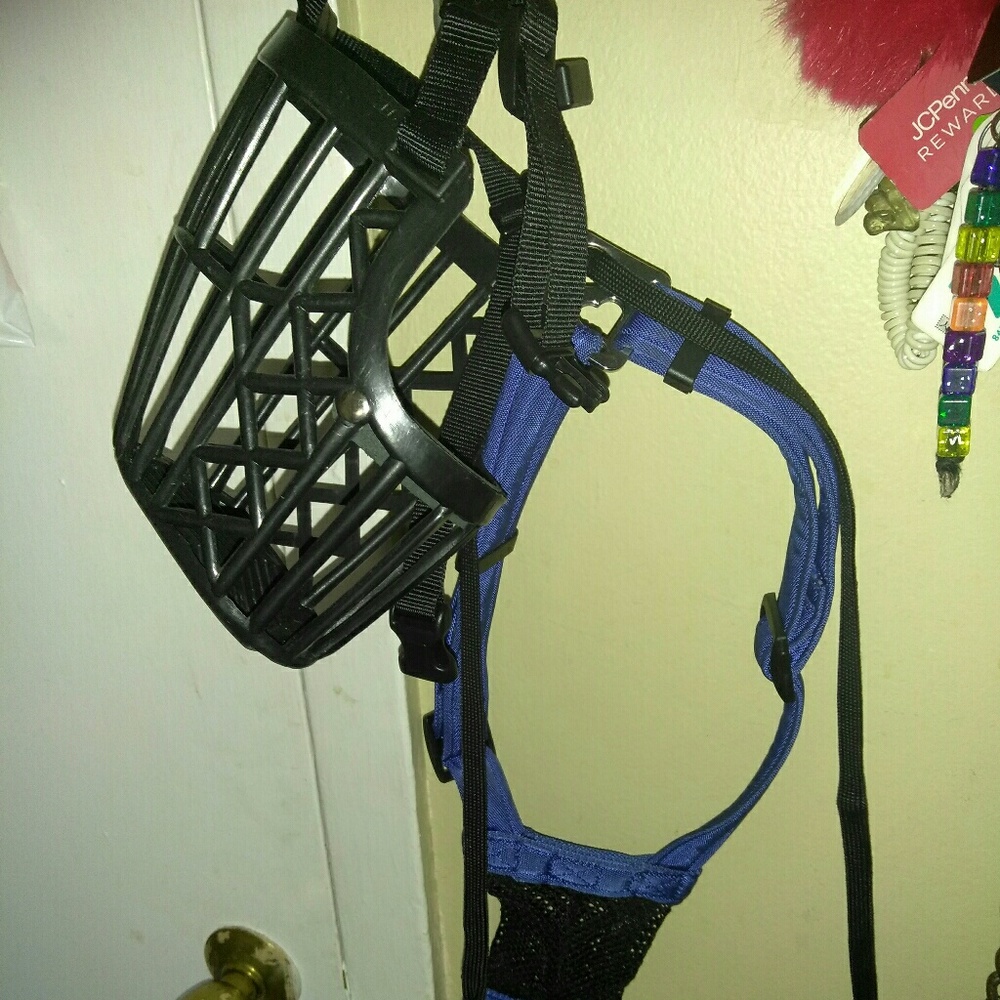 Muzzle and harness