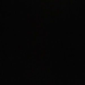 Meet your Posher, Winston