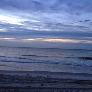 Meet your Posher, Logan