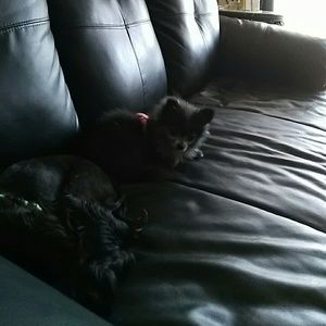 Meet your Posher, Theresa