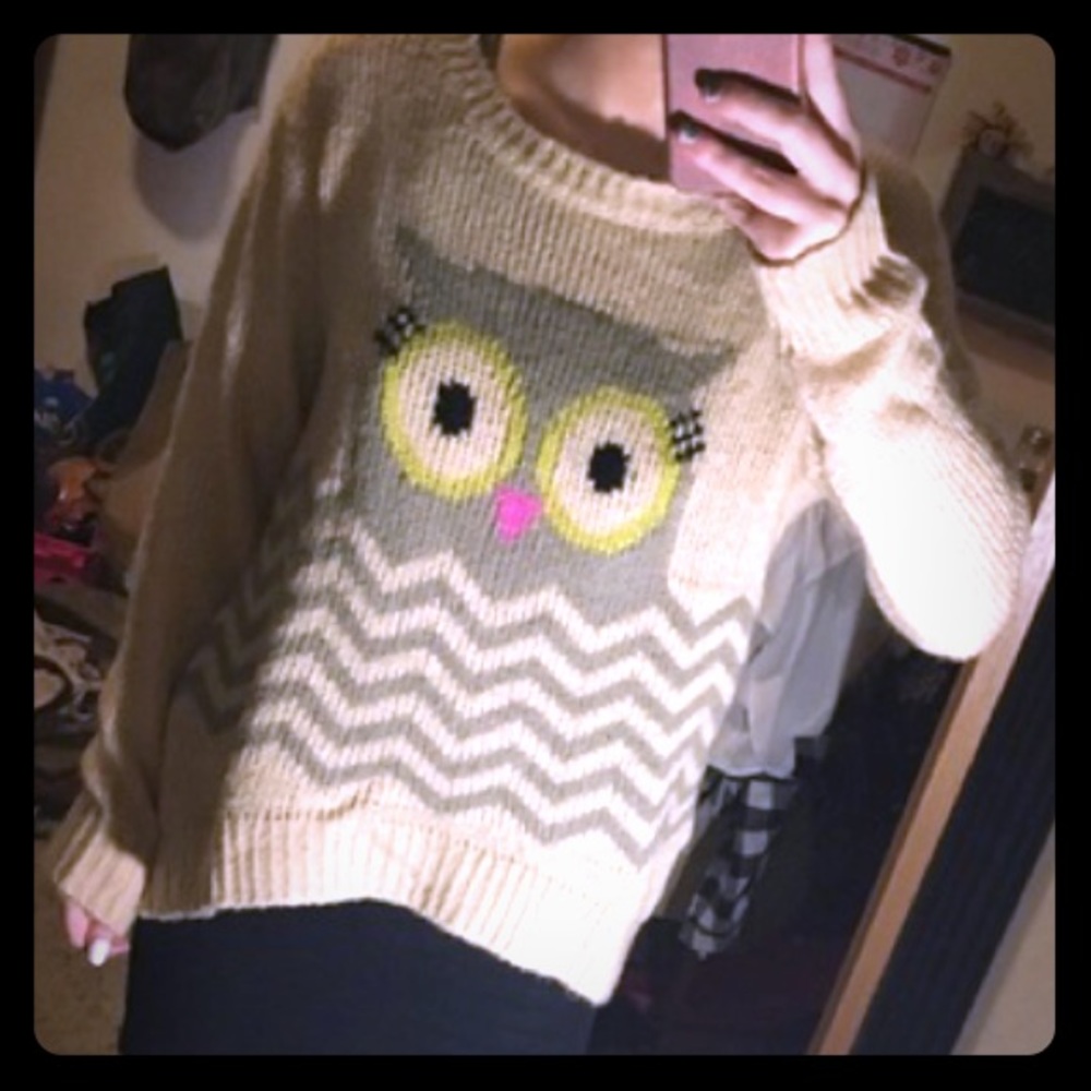 Owl Chevron Sweater