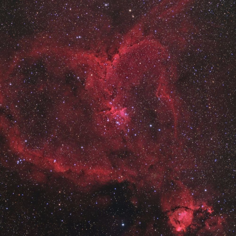 Meet your Posher, Rebekah