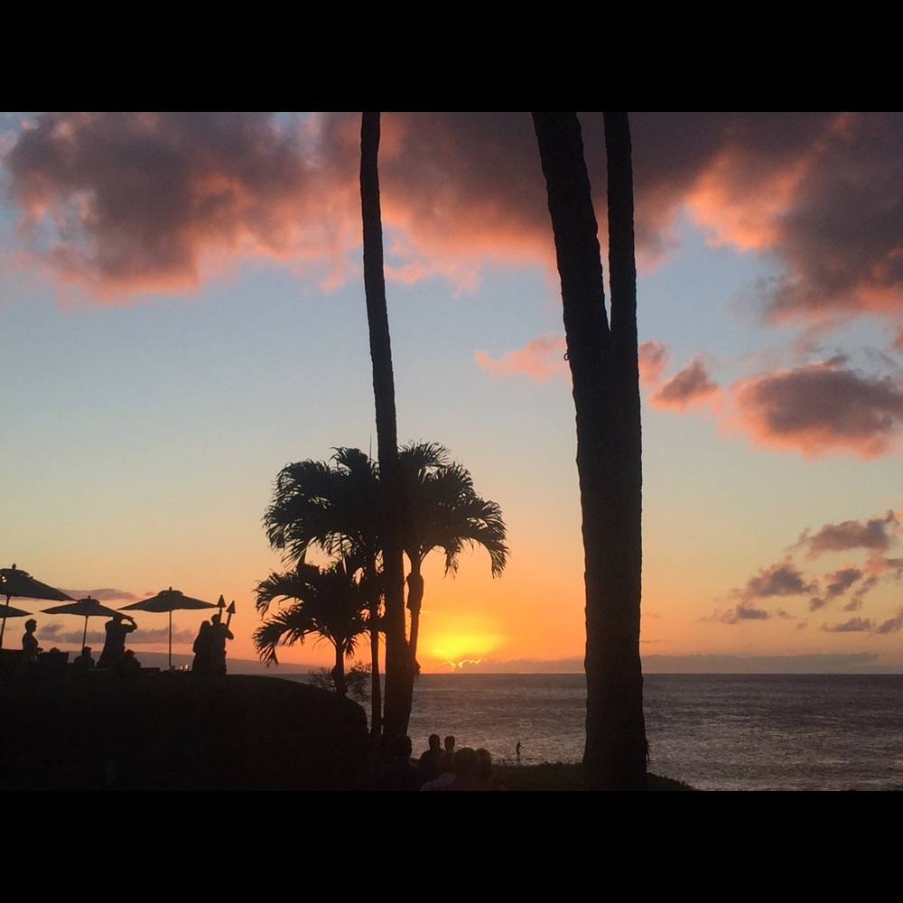 Meet your Posher, Betsy