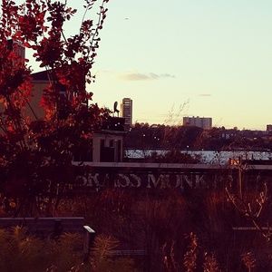 Meet your Posher, Zoe