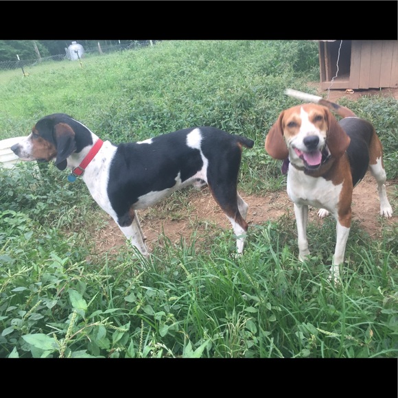 Meet your Posher, Cassee - Picture 4 of 8