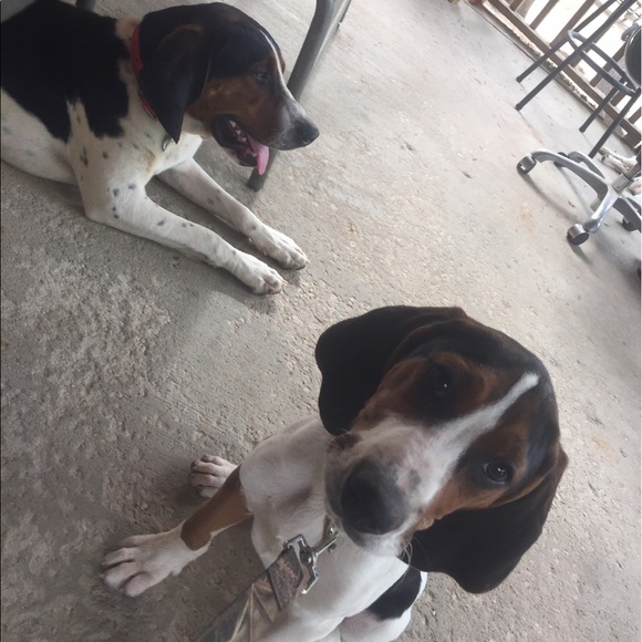 Meet your Posher, Cassee - Picture 5 of 8