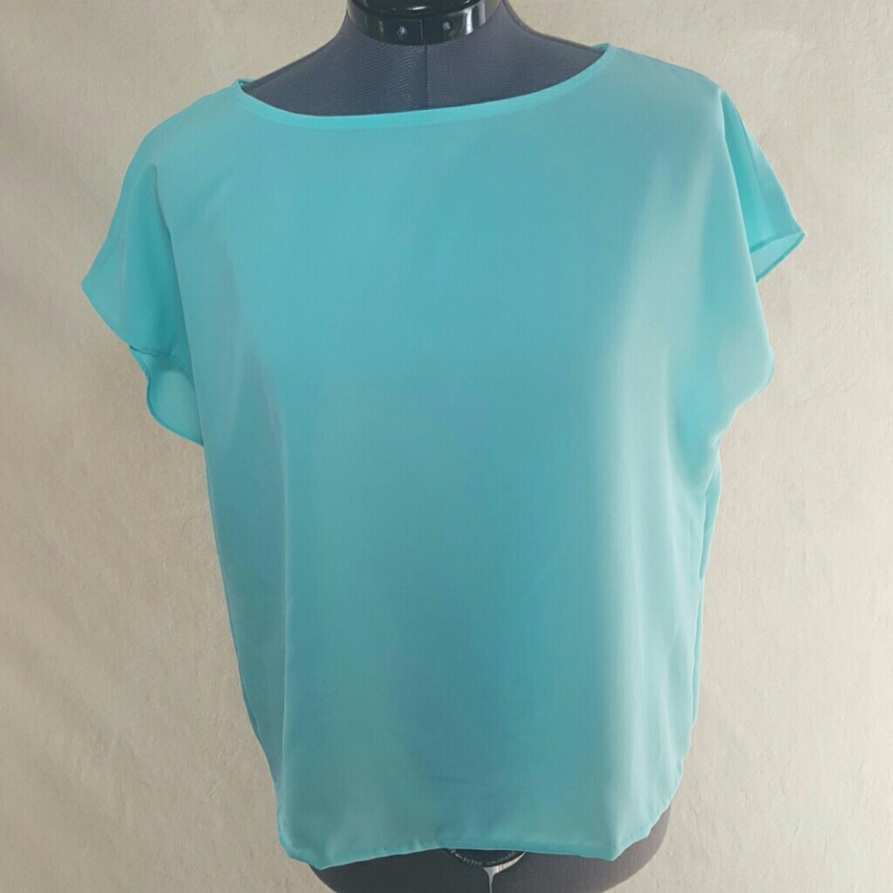 Nue Options Sheer Blouse