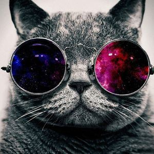 Meet your Posher, Jodi