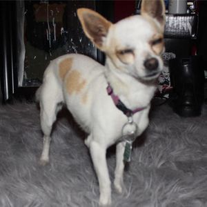 Meet your Posher, Gabriela