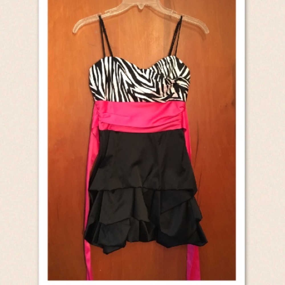Zebra, pink, & black homecoming/prom/party dress!