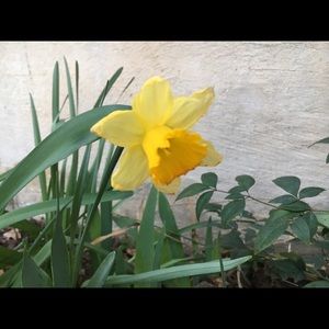 Meet your Posher, Lynda