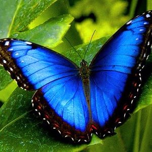 Meet your Posher, Adrianna