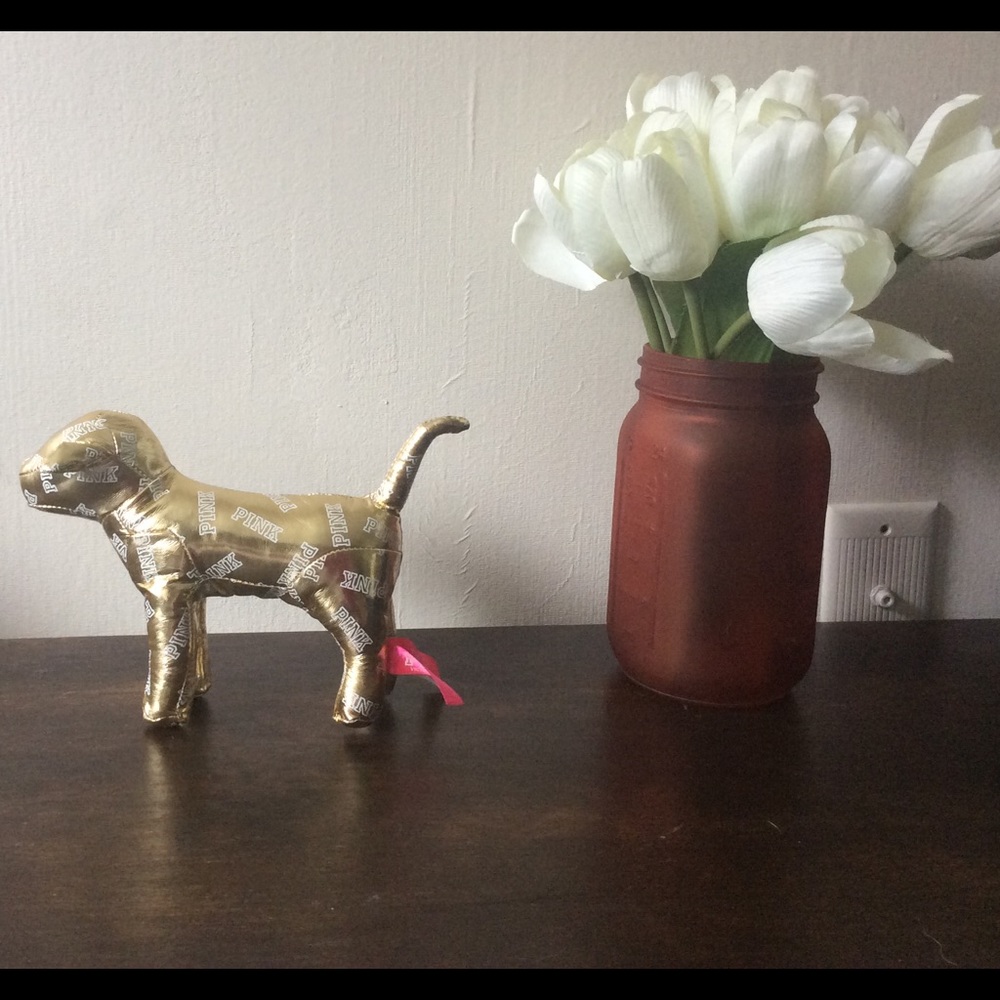 VS PINK GOLD DOG 🐶