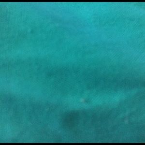 Meet your Posher, Tabitha