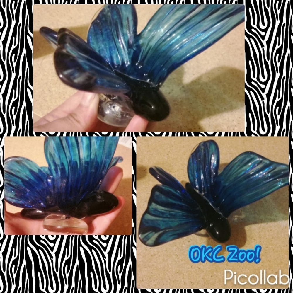 Beautiful Butterfly Adornment