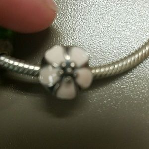 Pandora clip charm