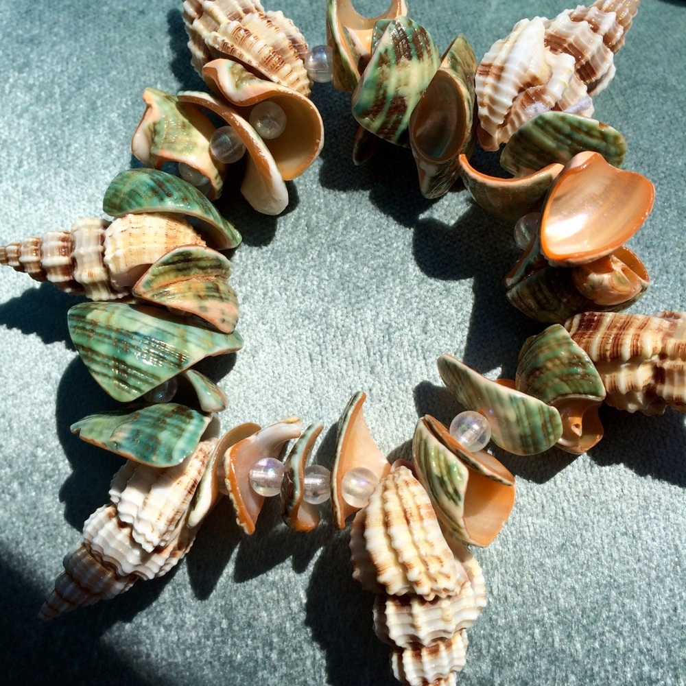 Real Sea Shell Bracelet 🐚🌊