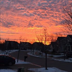 Meet your Posher, Heidi