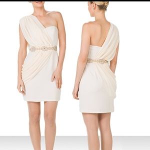 One shoulder crepe chiffon dress bnwt 12