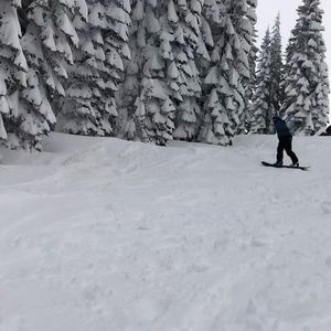 Meet your Posher, Devin