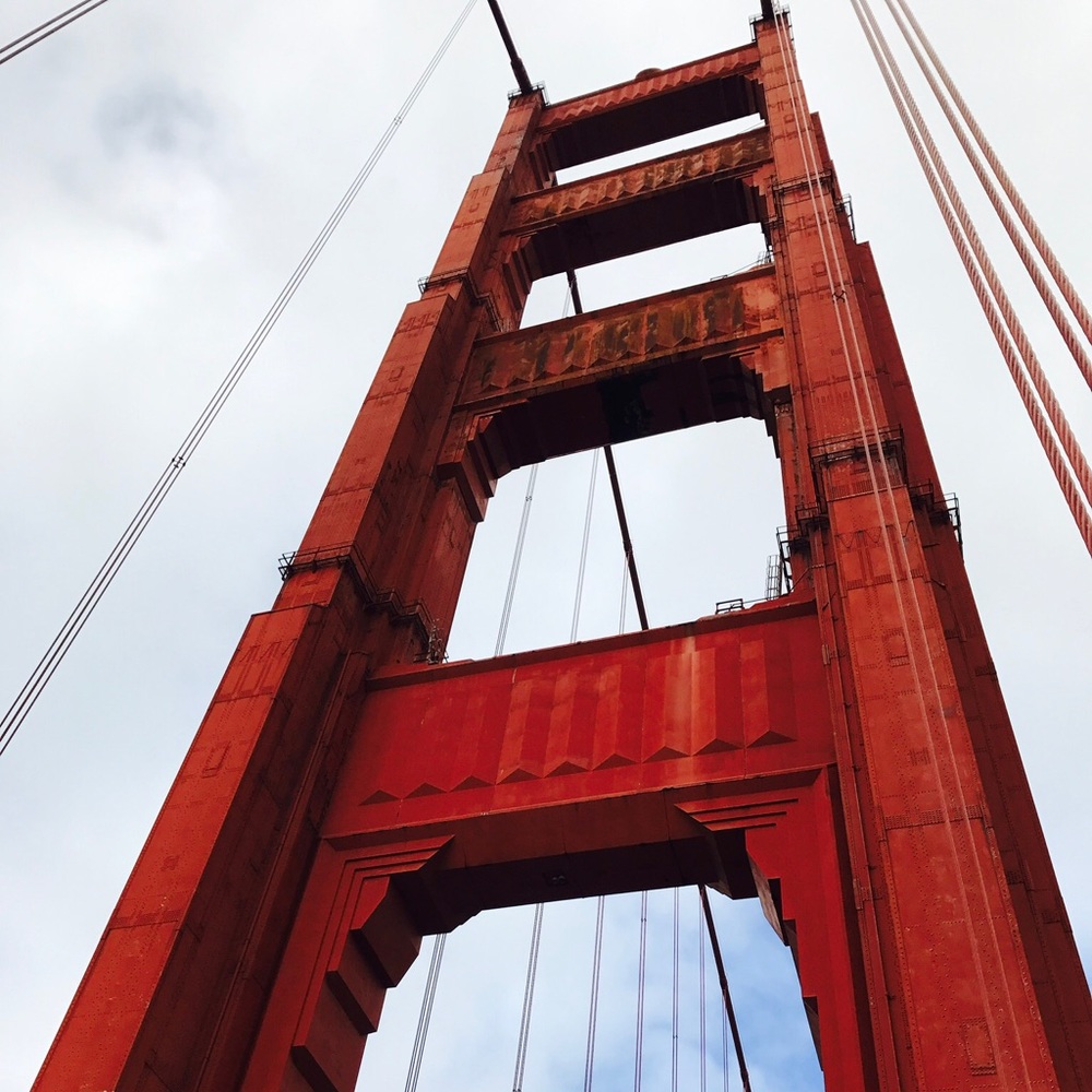 Meet your Posher, Roxana