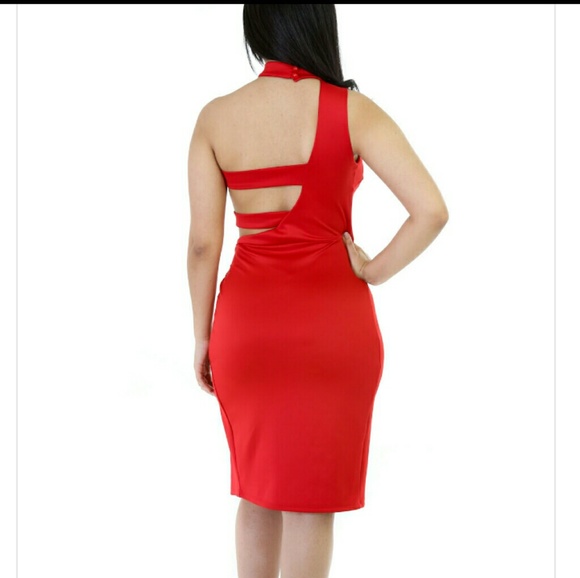 Final Price: Blush Exposed Midi Dress - Picture 3 of 3