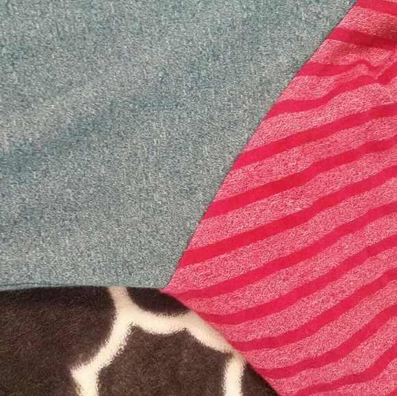 Randy - Picture 4 of 4